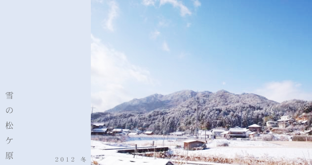 ��Τξ�������2012��